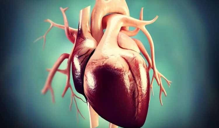 भोजन में इस तेल को शामिल करके 60 फीसदी तक कम कर सकते हैं हृदय रोगों का खतरा