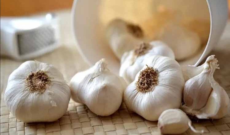 सेहत के लिए बहुत फायदेमंद है लहसुन