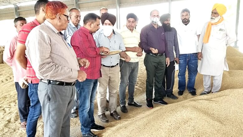 आखिरकार शुरू हुई धान की सरकारी खरीद, किसानों ने बताया संघर्ष की जीत