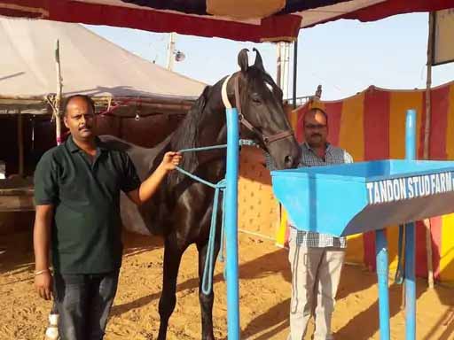 लग्जरी कार फॉर्च्यूनर से भी महंगा है शमशेर