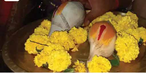 मां लक्ष्मी का प्रतीक हैं ये शंख:दूधाधरी मठ के कमरे में रखे जाते हैं, सालभर में एक बार होते हैं दक्षिणावर्ती शंख के दर्शन