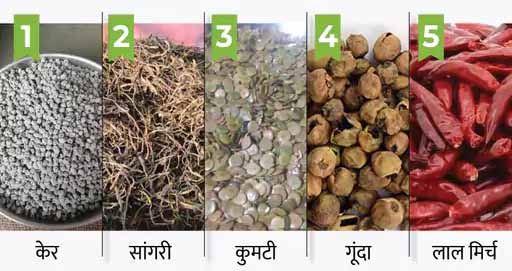 बादाम से भी महंगा मारवाड़ का ‘पंचकूटा’