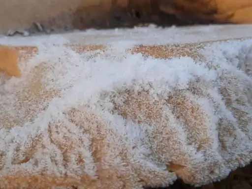 ठंड ऐसी कि रेगिस्तान में भी जम गई बर्फ:चार जिलों में पारा माइनस में पहुंचा