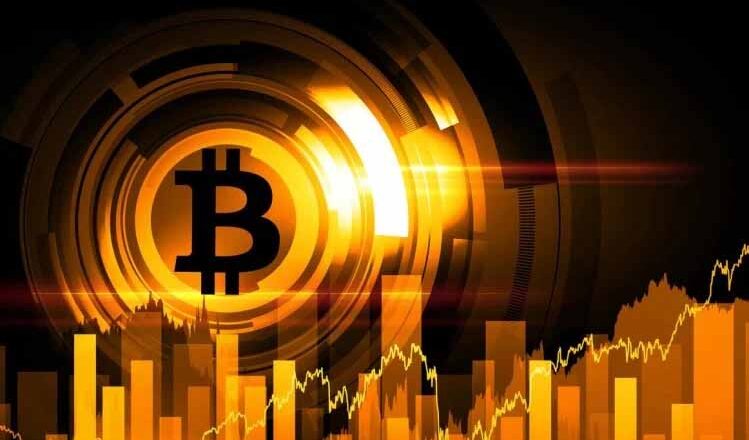 एलन मस्क ने सतोशी नाकामोतो के रहस्य से उठाया पर्दा