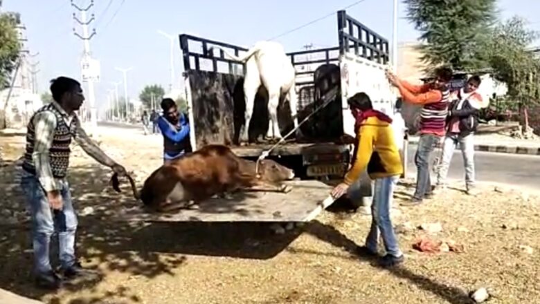 उच्चाधिकारियों के निर्देशों पर नगर परिषद हुई गम्भीर