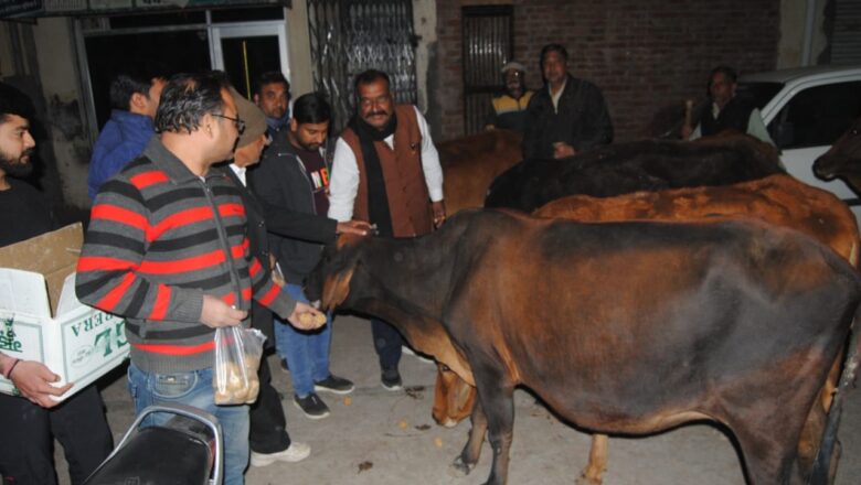 सड़क पर घूम रहे बेसहारा गोवंश के लिए मसीहा बनी पर्यावरण विरासत एवं गोसेवा समिति