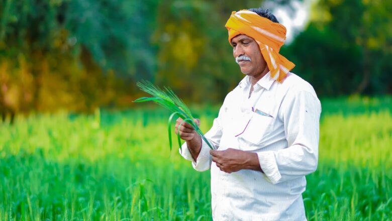 ऋणी कृषक प्रधानमंत्री फसल बीमा योजना रबी 2021-22 में बोई गई फसलों की सूचना बैंक को 24 तक देवें