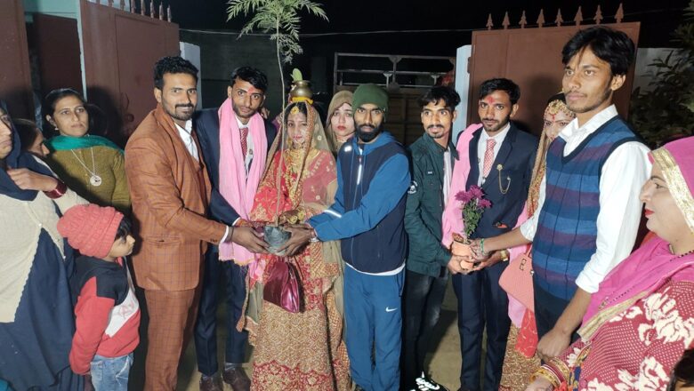 नवदम्पती को पौधा भेंट कर दिया आशीर्वाद