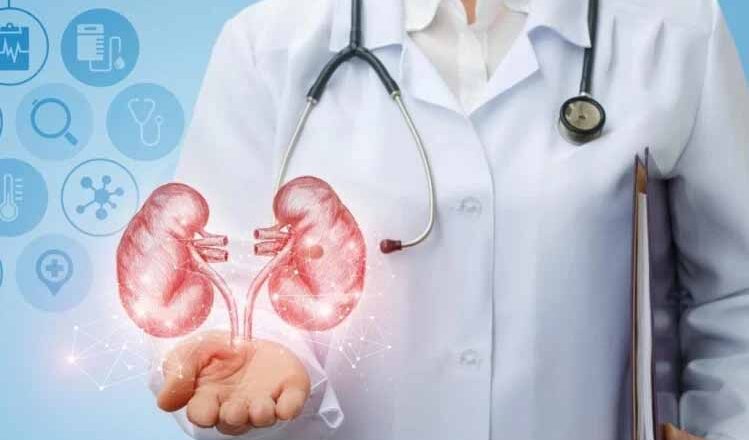 ऐसी आदतें आपकी किडनी को पहुंचाती हैं नुकसान