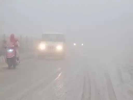 घना कोहरा छाने से विजिबिलिटी हुई कम, फसलों को पाला लगने की आशंका हुई कम