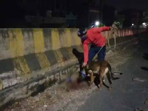 अस्पताल में तड़प रही गैंगरेप पीड़ित बच्ची:बेजुबान है, इसलिए सिर्फ मां-पा कहती है