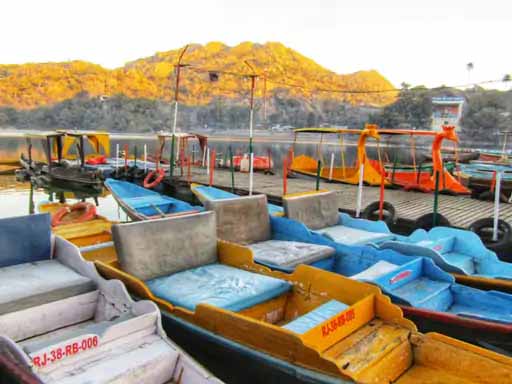 कोहरे से जयपुर में 5 फ्लाइट्स कैंसिल:विजिबिलिटी 50 मीटर से भी कम