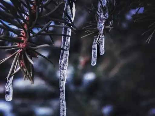 माउंट आबू में माइनस 5 डिग्री पहुंचा पारा
