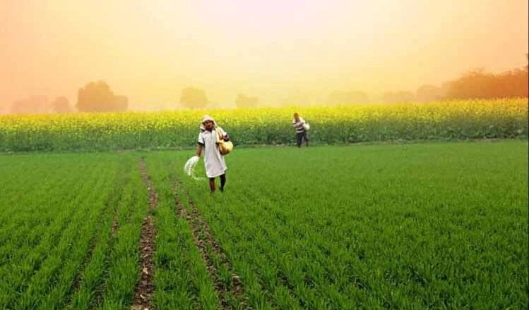 किसान क्रेडिट कार्ड के हैं ढेरों फायदे