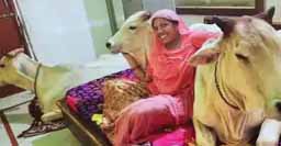 गाय-बछड़े का अलग कमरा, कंबल ओढ़ बेड पर सोते हैं