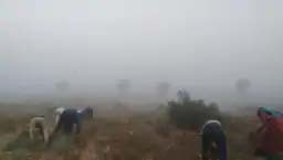बीकानेर-जोधपुर संभाग में 21 जनवरी को हो सकती है बारिश