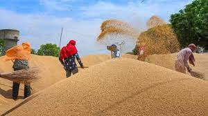 अन्न संकट झेल रहे अफगानिस्तान की मदद करेगा भारत, पाक के रास्ते फरवरी में भेजेगा गेहूं