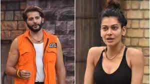 क्या करणवीर बोहरा के साथ अफेयर के लिए तैयार थीं पायल रोहतगी? एक्टर ने बताई सच्चाई