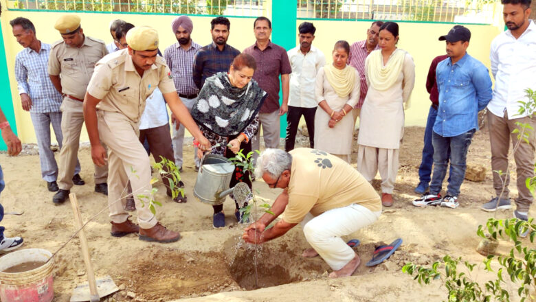 प्रदूषण से उबरने के लिए लगाएं अधिकाधिक पौधे