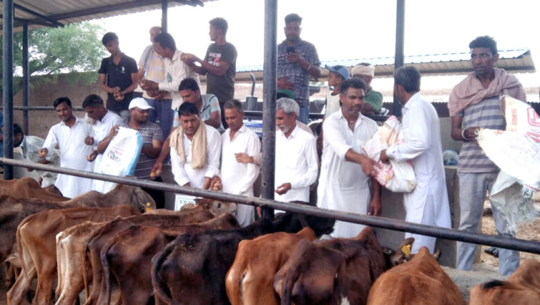 गोवंश को खिलाया हरा चारा, बच्चों को पाठ्य सामग्री वितरित