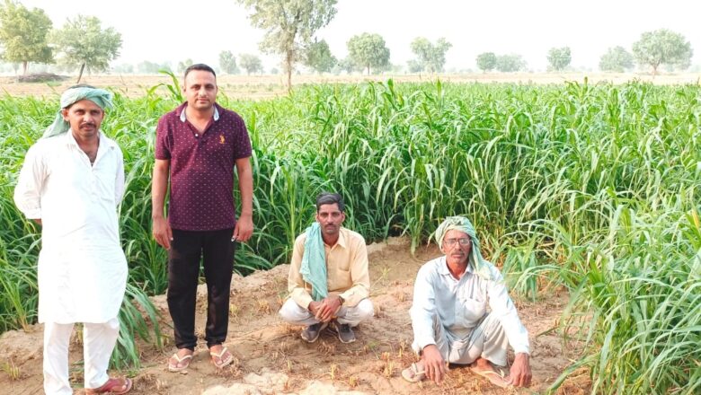 जिला कलक्टर के आह्वान से प्रेरित होकर दान किया हरा चारा