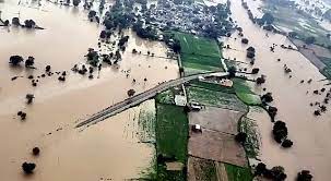 CM बोले- बाढ़ प्रभावित मकानों-फसलों का अलग-अलग सर्वे, चंबल खतरे के निशान से 50 फीट ऊपर