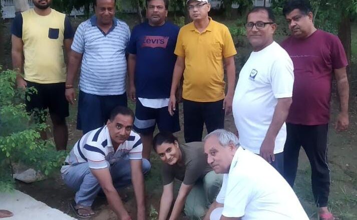 तुलसी, गिलोय, एलोविरा व नीम के औषधीय पौधे रोपे