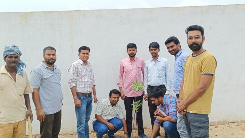 कॉलेज परिसर में किया वृक्षारोपण