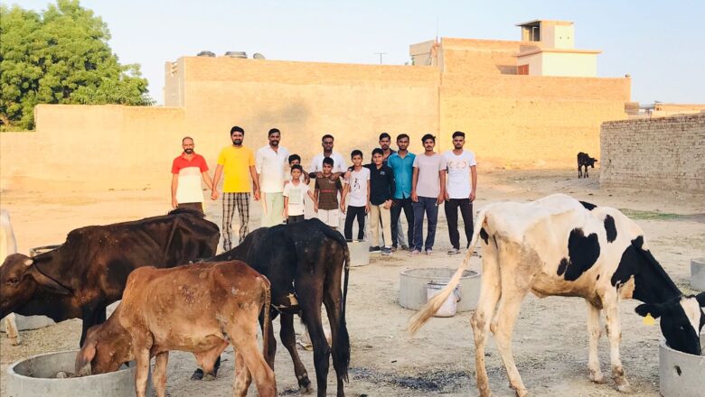 लम्पी से पीड़ित बेसहारा गोवंश के लिए बनाई अस्थाई मिनी गोशाला