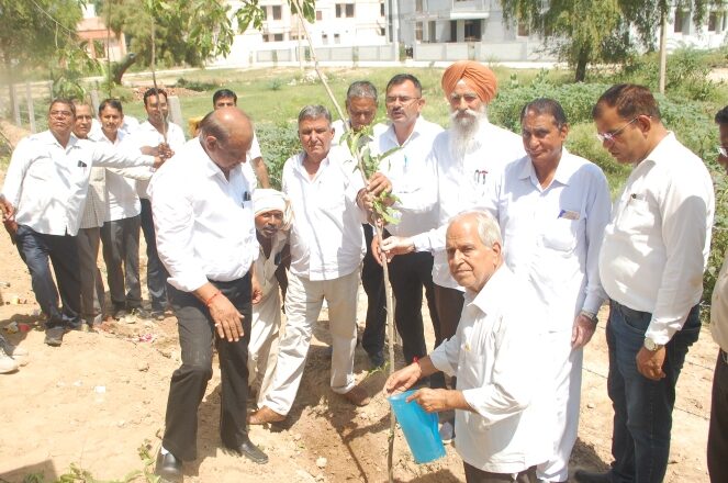 रेवेन्यू अधिवक्ता चैम्बर्स में अधिवक्ताओं ने किया पौधरोपण