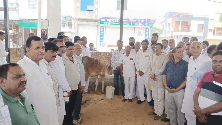 गो उपचार केन्द्र का विधायक अमित चाचाण ने किया विधिवत शुभारंभ