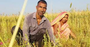 दिवाली से पहले करोड़ों किसानों को तोहफा: पीएम मोदी ने ट्रांसफर किए 12 वीं किस्त के 2000 रुपये
