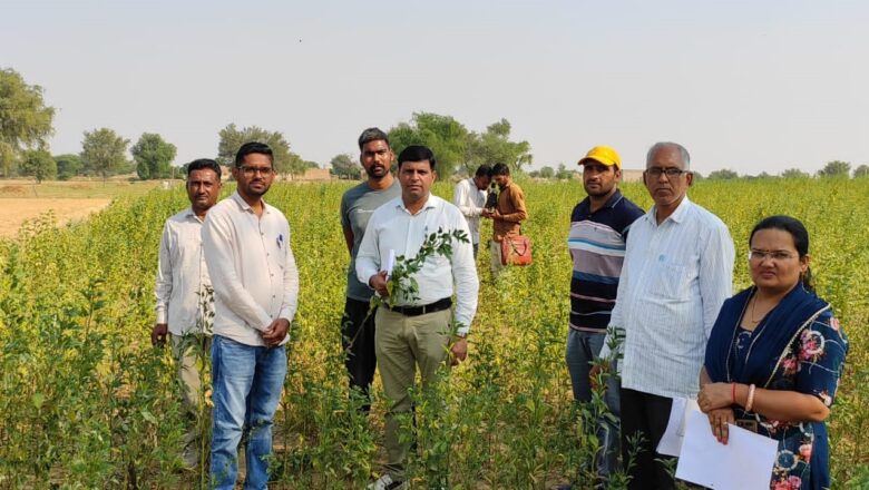 नकली ग्वार बीज की शिकायत पर कृषि विभाग की टीम ने किया खेतों का दौरा