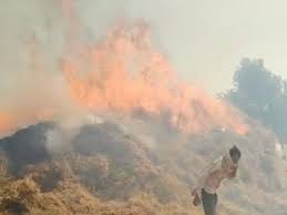 फिर खेत में आग, फिर किसान का नुकसान:अच्छी वर्षा से हराभरा हुआ था खेत, आग ने फसल को राख की, 5 पशुओं की मौत