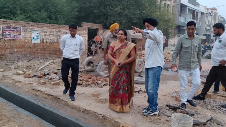 गुणवत्तापूर्ण निर्माण कार्य ही विकास की मुख्य धुरी : सभापति