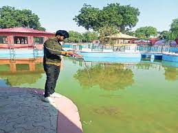 डेंगू पॉजिटिव मरीजों के मिलने का सिलसिला जारी:260 सैंपल लिए, 19 पॉजिटिव रिपोर्ट, कोरोना का एक भी केस नहीं