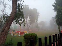 श्रीगंगानगर में नॉर्दन विंड का असर, सर्दी बढ़ी:कोहरे में कुछ मीटर दूर देख पाना भी मुश्किल,&nbsp;न्यूनतम तापमान 3.7 डिग्री पहुंचा