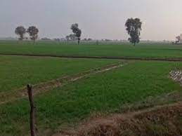 राजस्थान में कड़ाके की सर्दी के बीच बारिश:आज 7 जिलों में हो सकती है बरसात; बीकानेर, चूरू और जोधपुर में छाए बादल