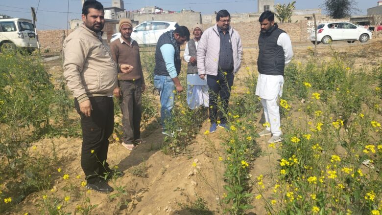 पाले से खराब हुए सरसों व चने की फसलों का लिया जायजा
