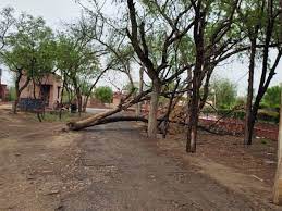धीरे धीरे आ रही है गर्मी:बीकानेर में दोपहर का तापमान तीस डिग्री सेल्सियस से ऊपर, रात में भी अब सर्दी कम