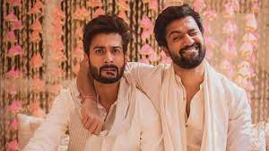 पता नहीं लोग विक्की से ही क्यों तुलना करते हैं, एक परिवार से होकर भी हम अलग हैं: सनी कौशल