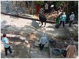 एक ही परिवार की तीन महिलाओं समेत छह की गोली मारकर हत्या