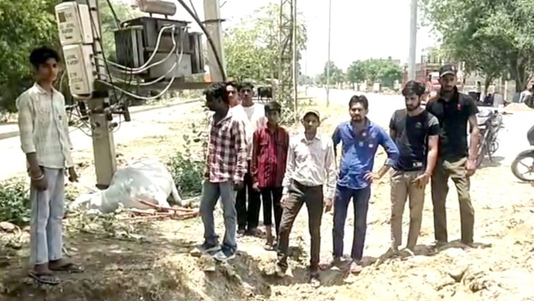 ट्रांसफार्मर में प्रवाहित करंट की चपेट में आने से नंदी की मौत