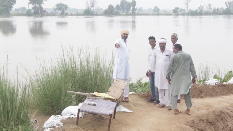 कमजोर तटबंधों का निरीक्षण कर लिया जायजा
