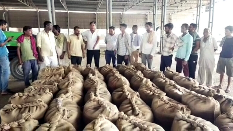 शैड के नीचे रखी कृषि जिन्स चोरी होने की वारदातों से व्यापारियों में रोष