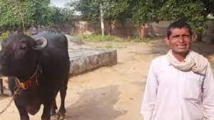 दूधवाले से तंग आकर उठाया बड़ा कदम, नहाने गई तो नहीं आई वापस