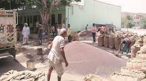 एक जैसी मण्डी फीस तथा कृषक कल्याण फीस लगाने की मांग को लेकर खाद्य पदार्थ व्यापार संघ ने दिया ज्ञापन