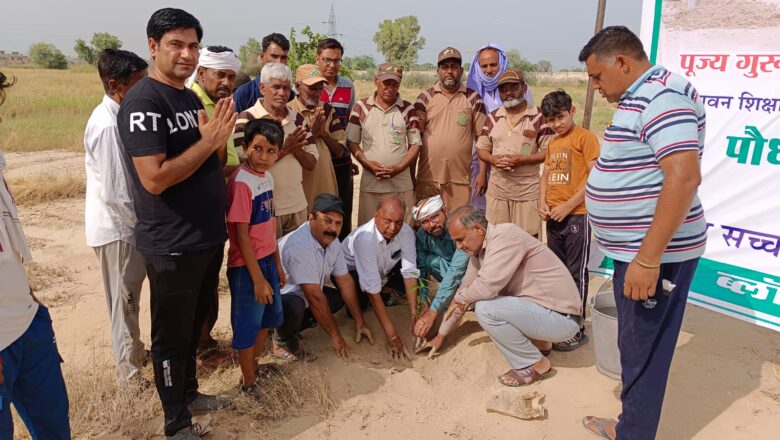 साध-संगत ने रोपे तीन सौ पौधे