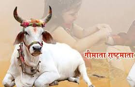 स्वत: स्फूर्त गौमाता राष्ट्रमाता प्रतिष्ठा आंदोलन जोर पकड़ने लगा