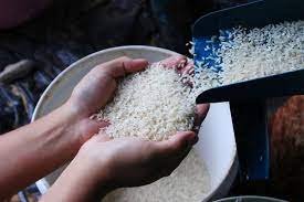 सस्ती दाल और सस्ते आटे के बाद अब सस्ते चावल भी बेचेगी सरकार, दाम होगा…